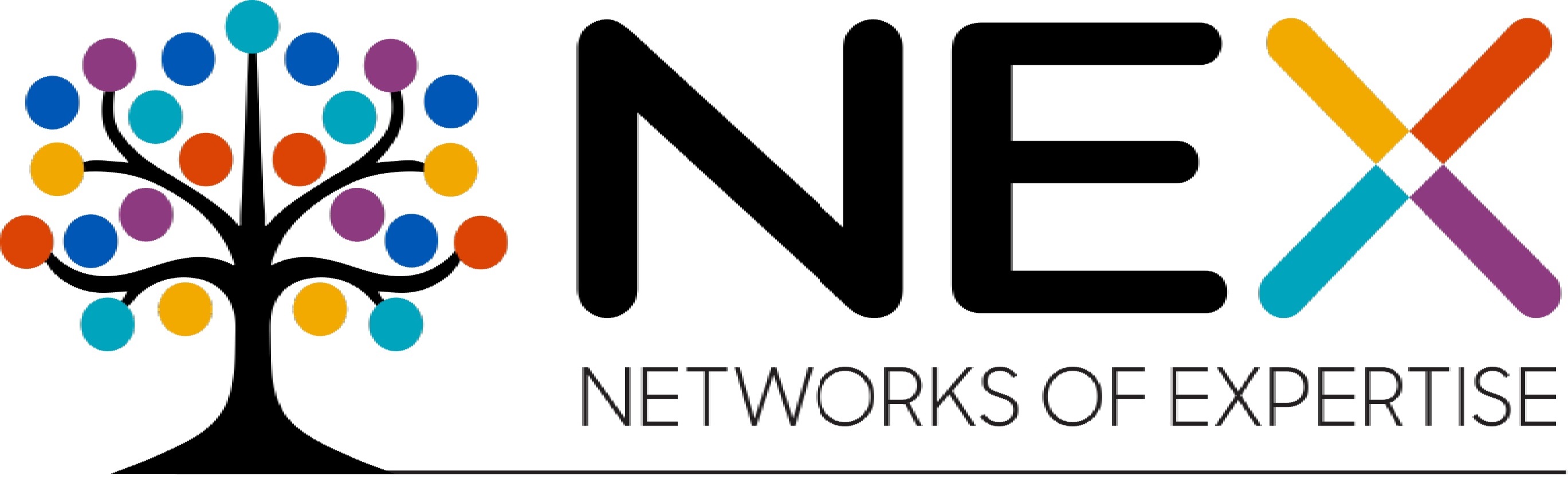 NEX Logo